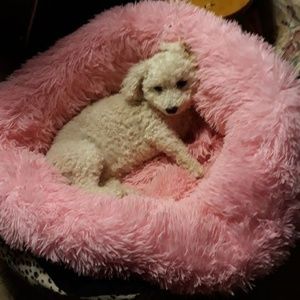 Meet your Posher, Geraldine